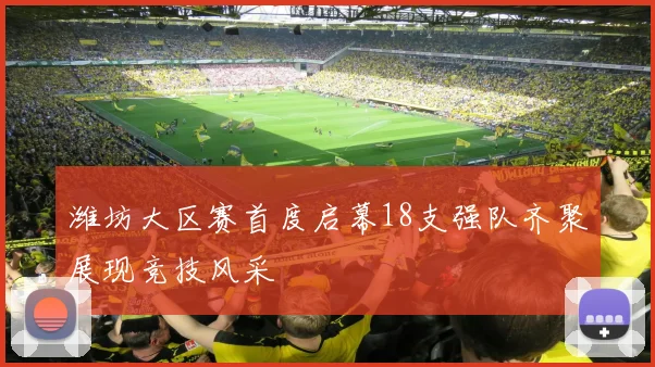 潍坊大区赛首度启幕18支强队齐聚展现竞技风采