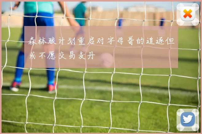 森林狼计划重启对字母哥的追逐但或不愿交易麦丹